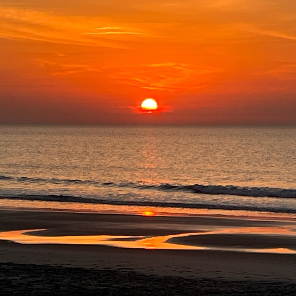 Meet your Posher, Holly